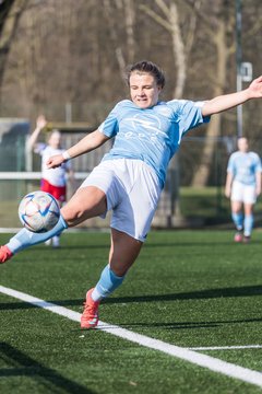 Bild 184 - F Hamburger SV 3 - Blau-Weiss 96 : Ergebnis: 5:1